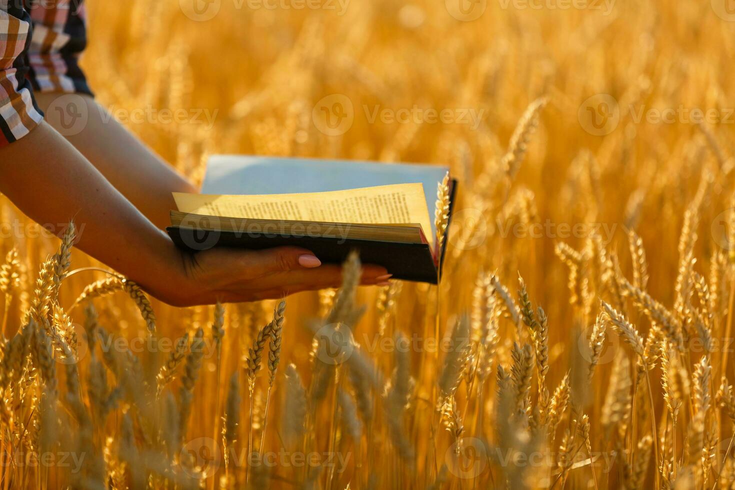 femme en portant une Bible, une Naturel champ. photo