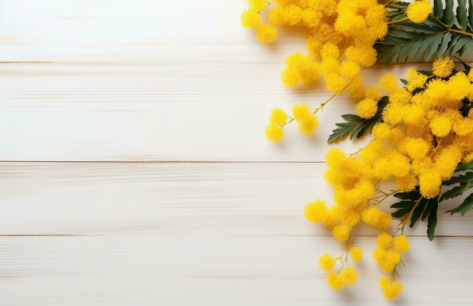 ai généré mimosa fleurs sur en bois blanc Contexte avec légende avec fond photo