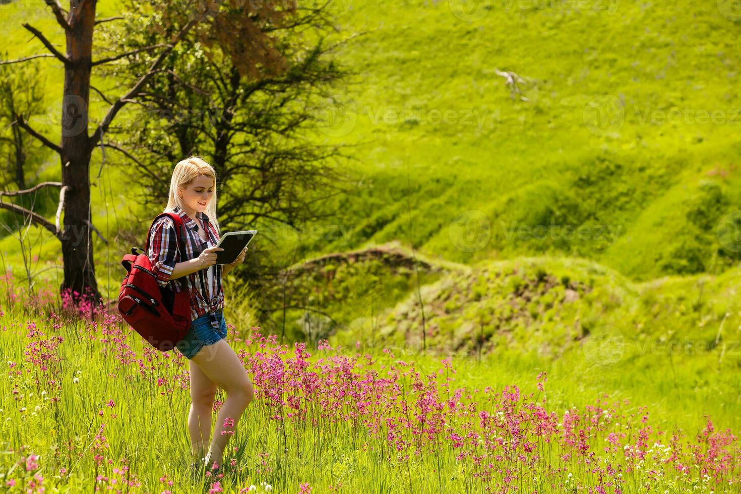 content aventurier femelle des stands sur le vert Montagne pente parmi floraison rose rhododendrons et à la recherche dans le distance. épique Voyage dans le montagnes. large angle. photo
