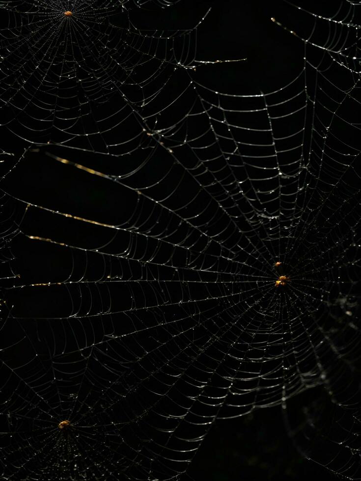 ai généré toiles d'araignées à nuit, ai généré. photo