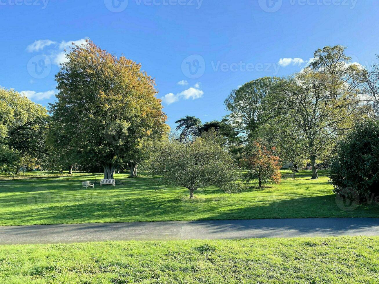 une vue de une parc dans Londres montrant le l'automne couleurs photo