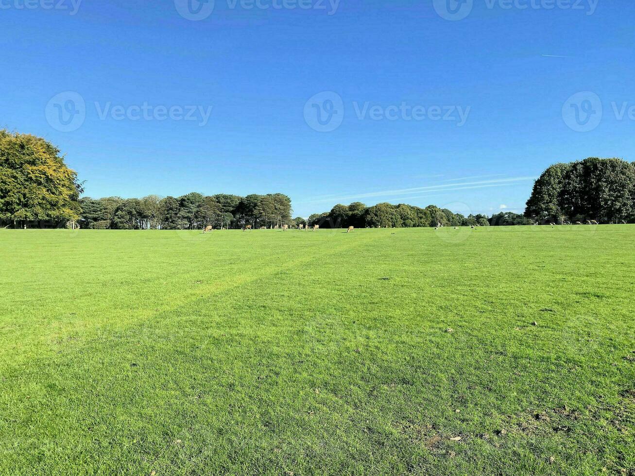 une vue de le Cheshire campagne près Knutsford sur une ensoleillé journée dans l'automne photo