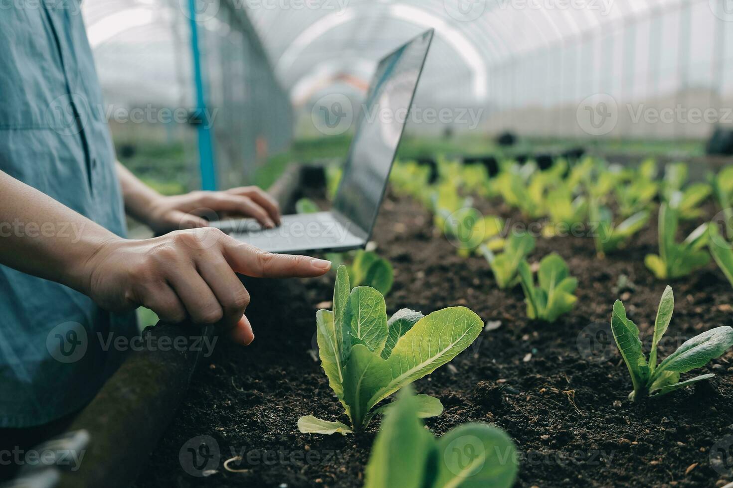 asiatique femme agriculteur en utilisant numérique tablette dans légume jardin à serre, affaires agriculture La technologie concept, qualité intelligent agriculteur. photo