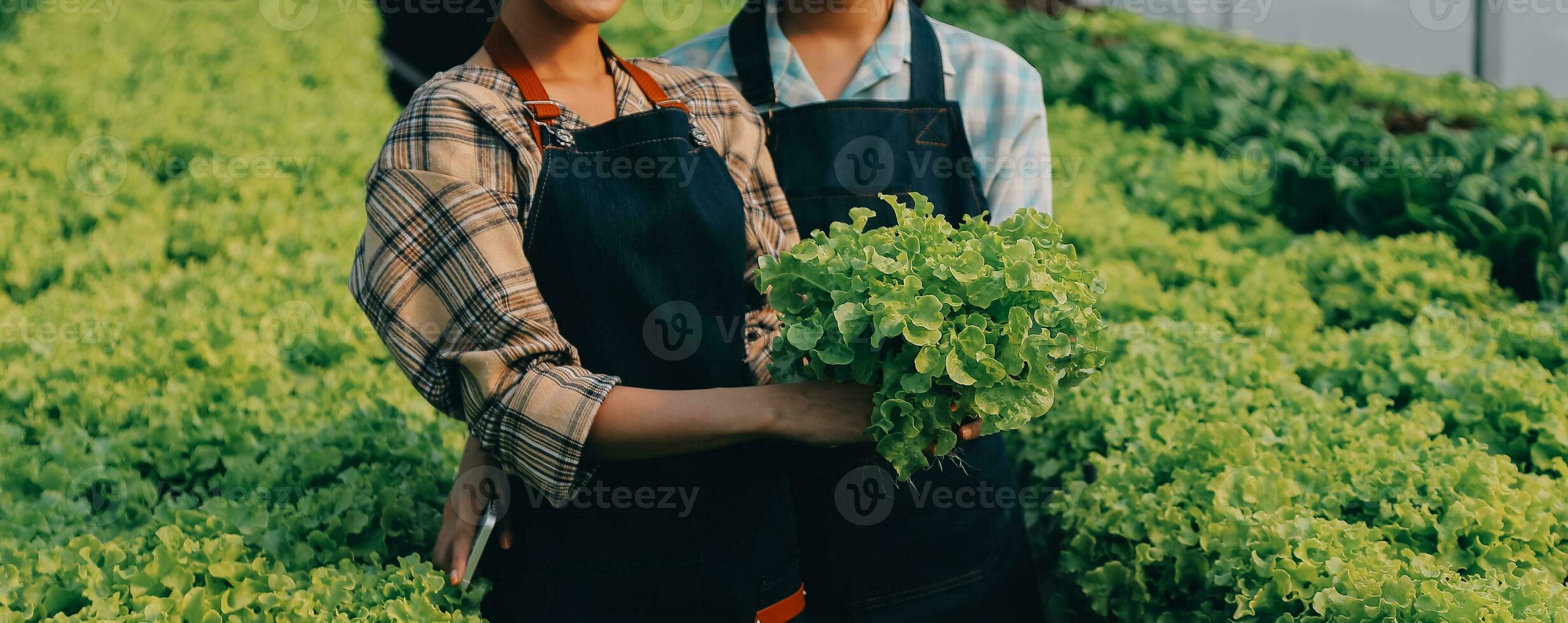 femme jardinier inspecte qualité de vert chêne salade dans serre jardinage. femelle asiatique horticulture agriculteur cultiver en bonne santé nutrition biologique salade des légumes dans hydroponique secteur agroalimentaire cultiver. photo