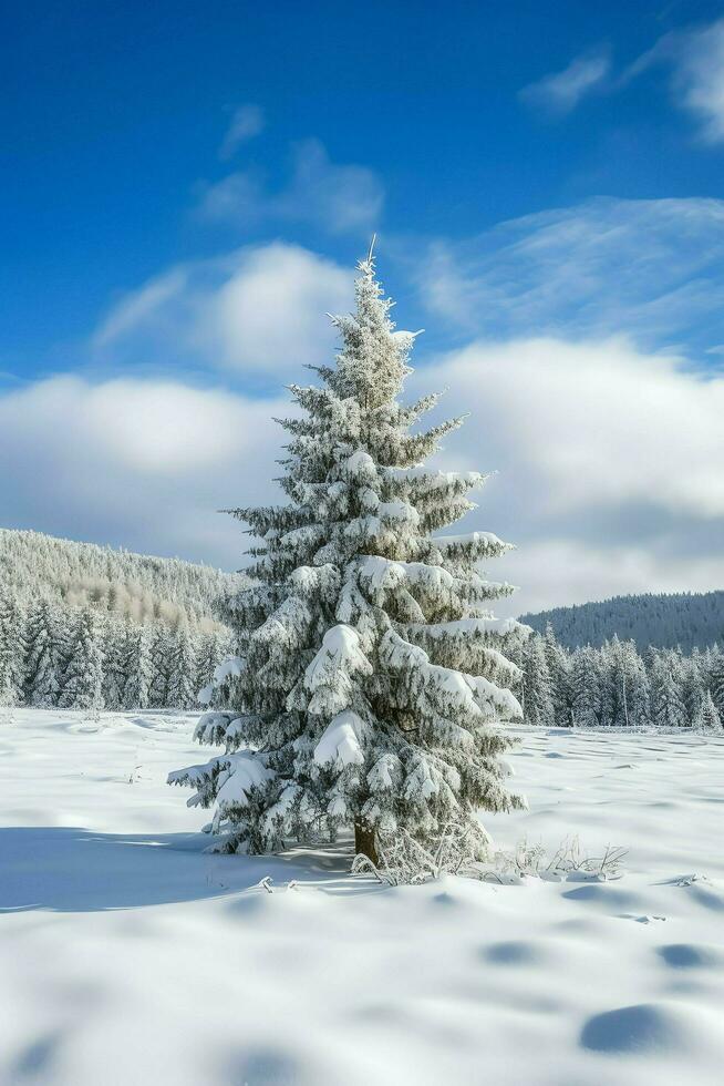 pin des arbres ou décoré Noël arbre couvert par neige sur magnifique l'hiver. Noël thème en plein air par ai généré photo