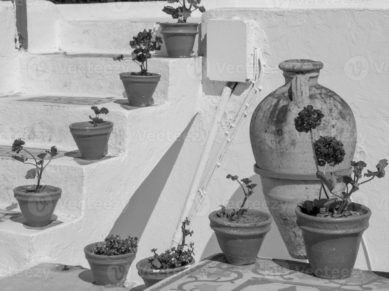 la ville de tunis en tunisie photo