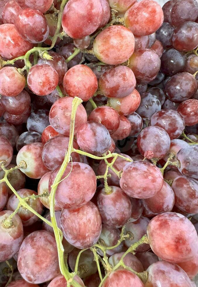 proche en haut de brut biologique sucré rouge les raisins arrière-plan, du vin les raisins texture, en bonne santé des fruits rouge du vin les raisins arrière-plan, Haut vue photo