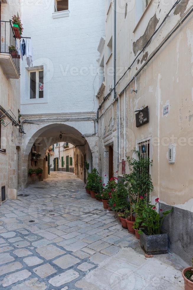 monopole, le port et le centre historique photo