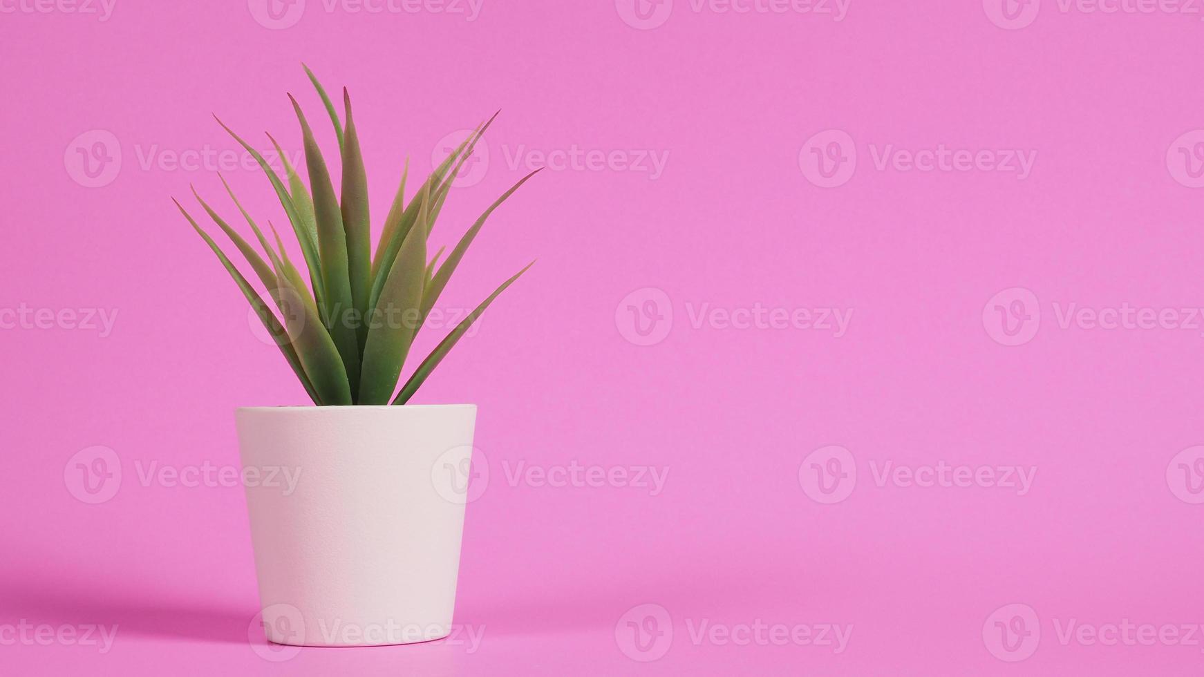 plantes de cactus artificielles ou arbre en plastique ou faux sur fond rose. photo