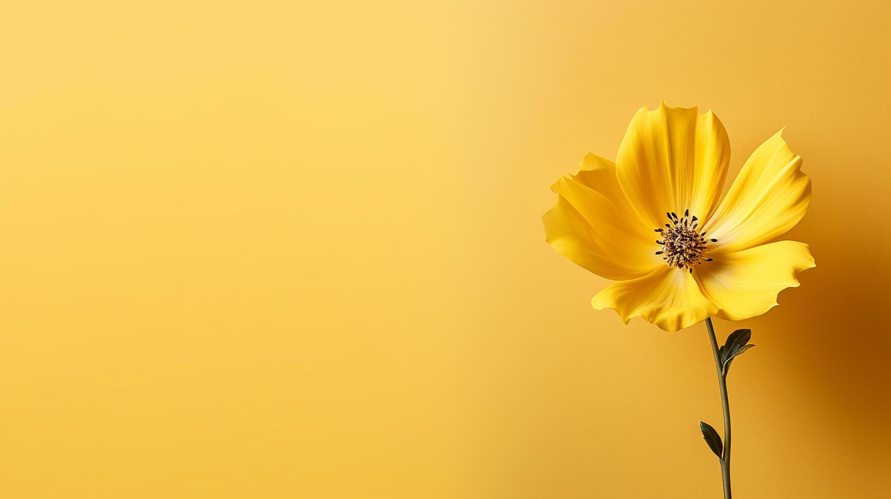 ai généré Jaune tournesol sur Jaune Contexte plat poser, Haut vue photo