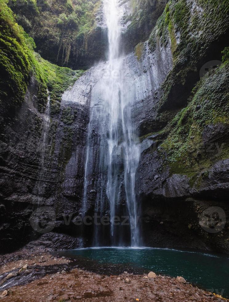 cascade majestueuse qui coule sur la falaise rocheuse dans la forêt tropicale photo