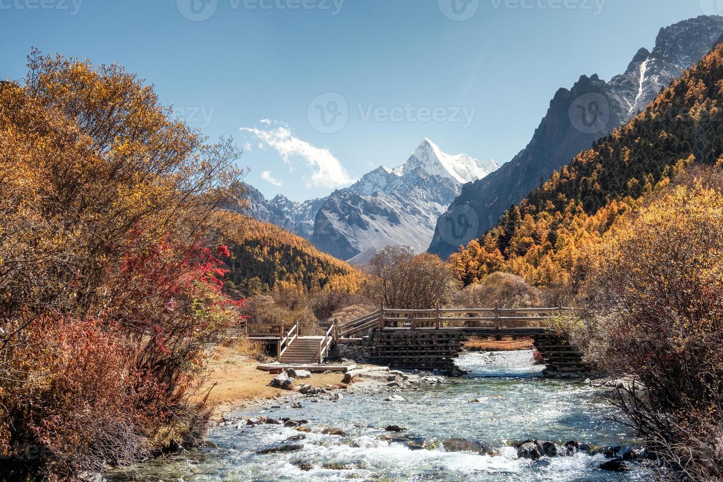 le dernier shangri-la avec la montagne chana dorje dans la forêt de pins d'automne photo