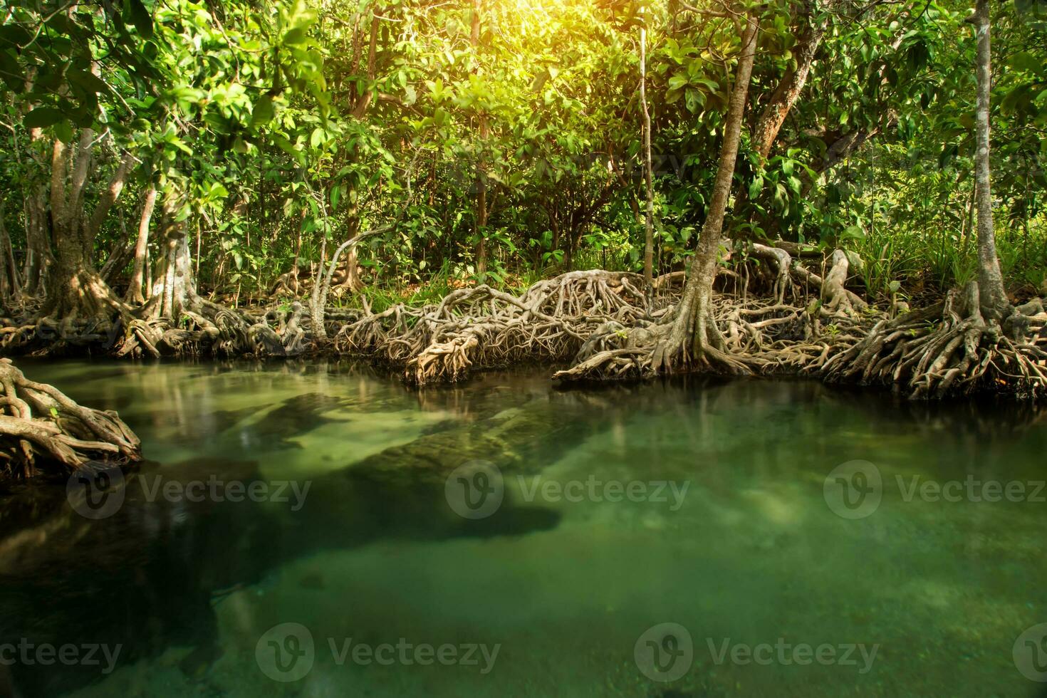 incroyable nature, vert l'eau dans le forêt. Krabi, Thaïlande. photo