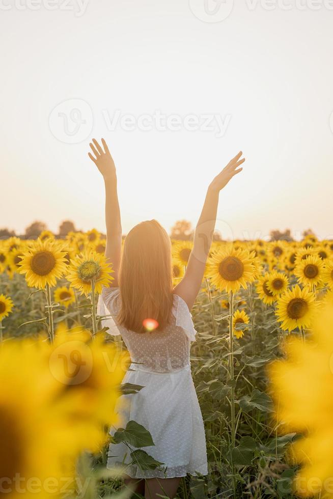 belle jeune femme entre les tournesols au coucher du soleil photo