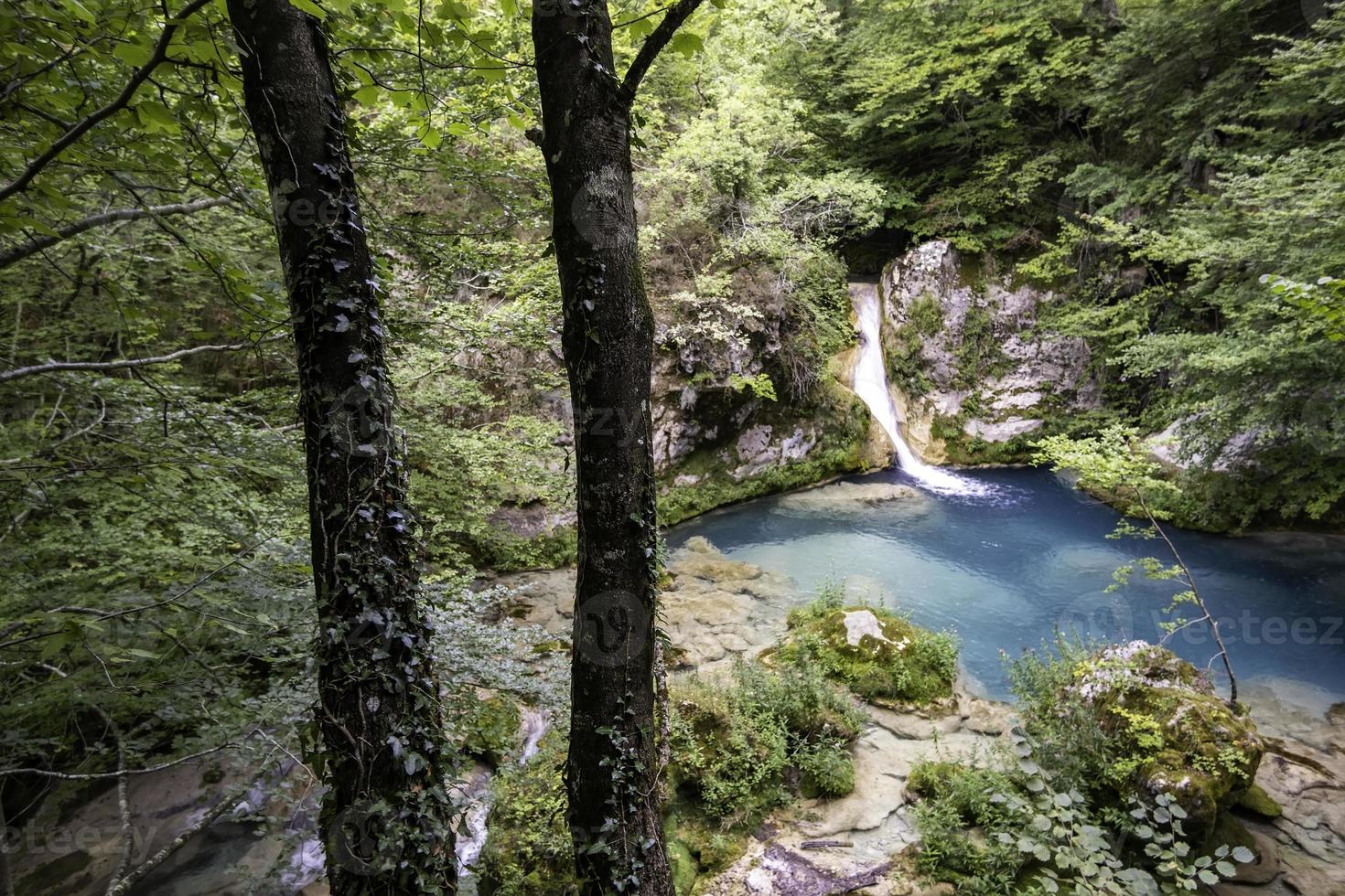 cascade dans une forêt sauvage photo