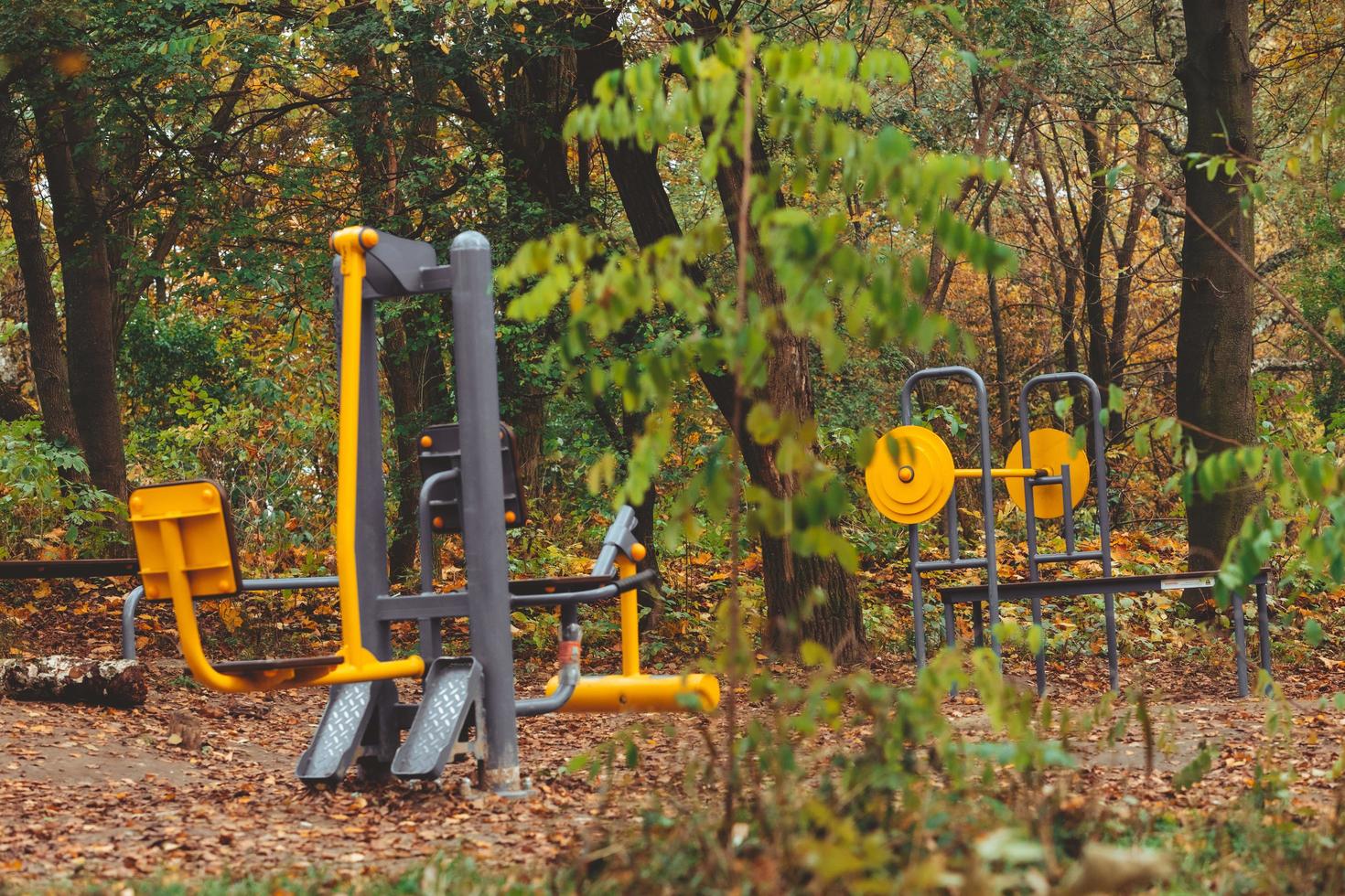 Entraîneur de simulateurs de carrossier à l'extérieur dans le parc de la ville d'automne photo