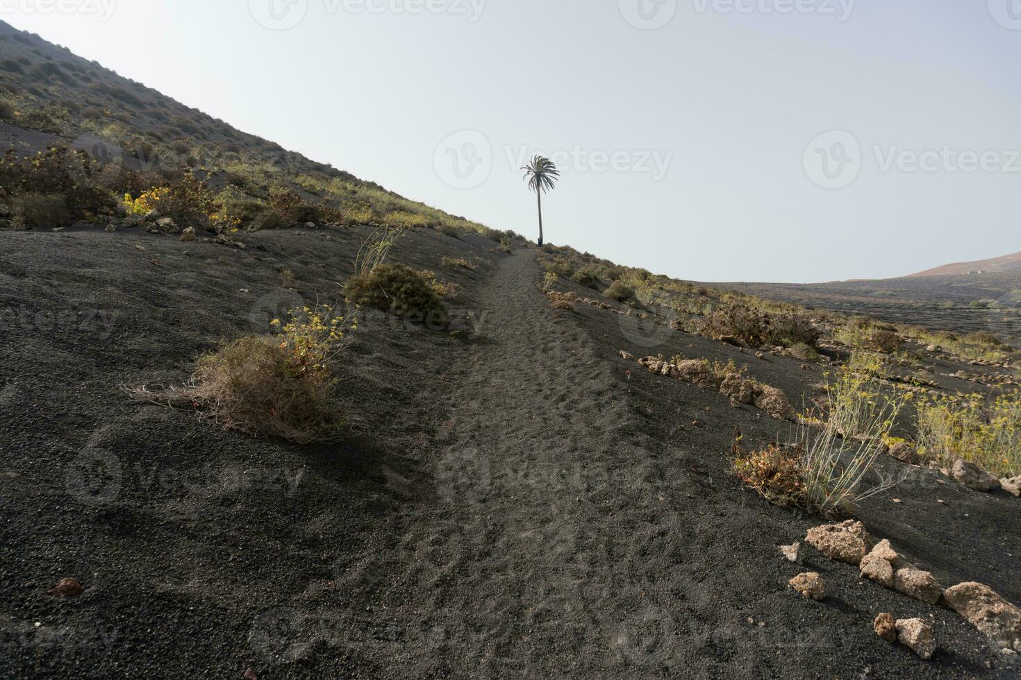 la géria dans lanzarote photo