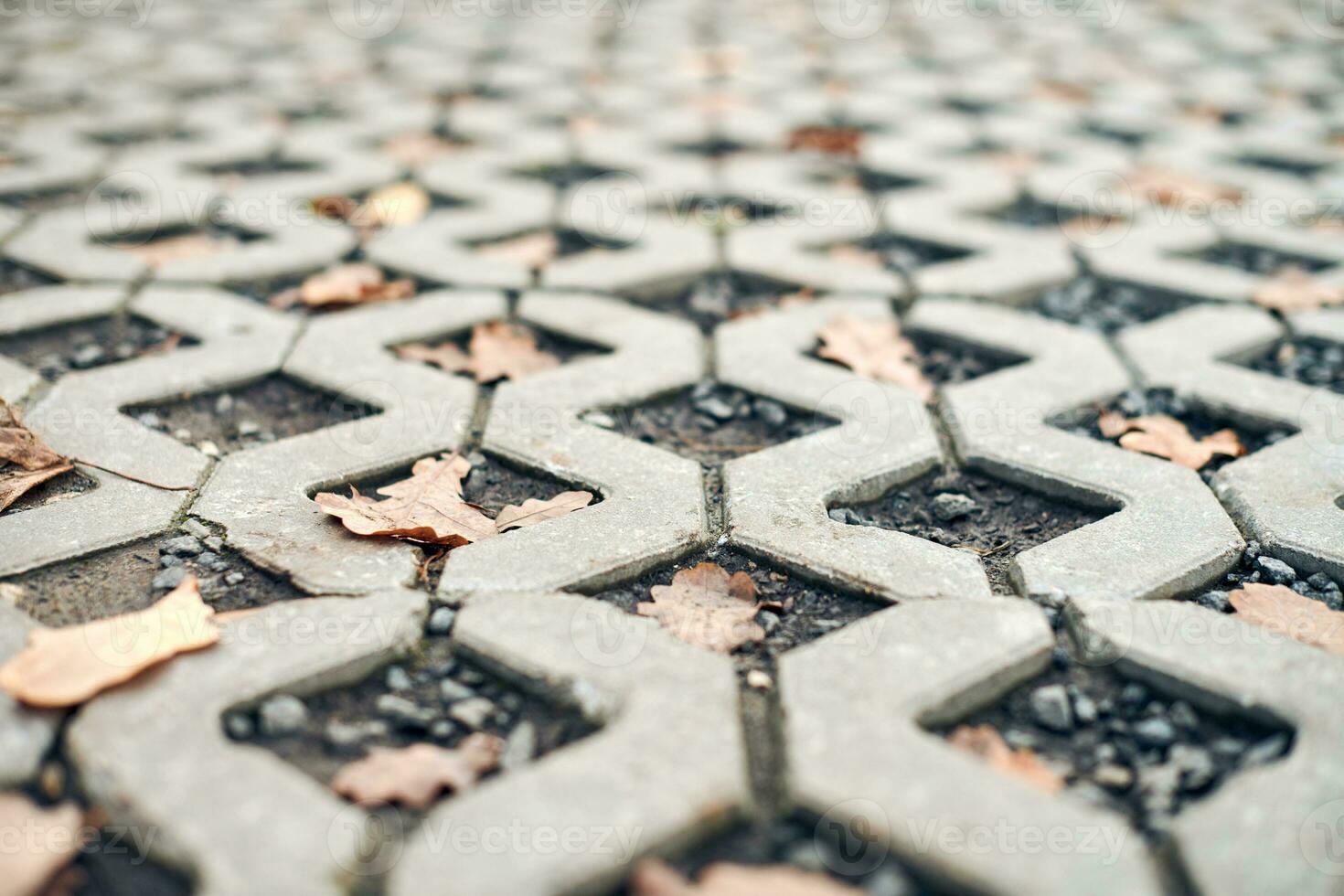 pavé avec des feuilles d'automne. photo