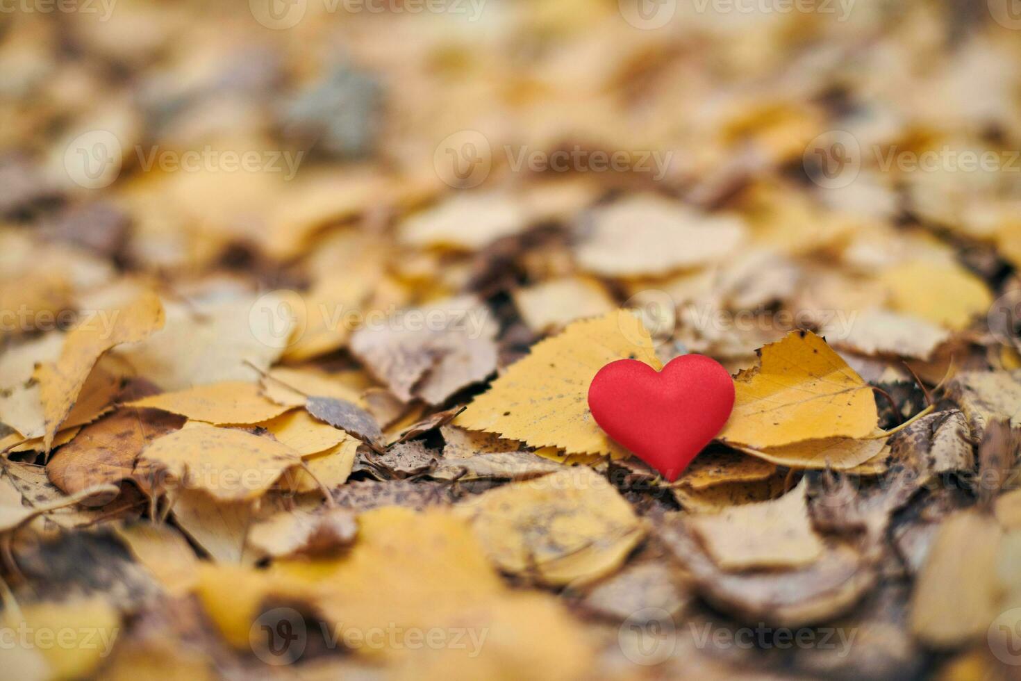 concept d'amour ou de solitude non partagé et unilatéral. photo