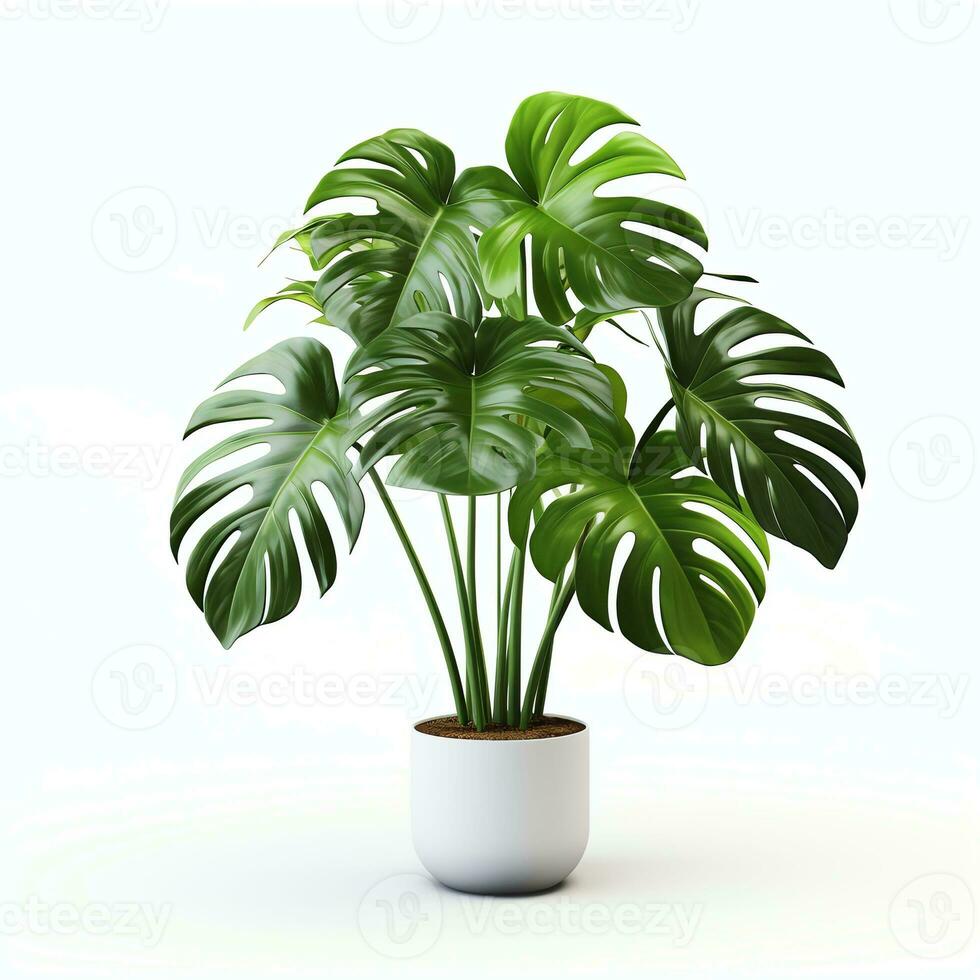 ai généré monstera deliciosa plante réel photo photoréaliste