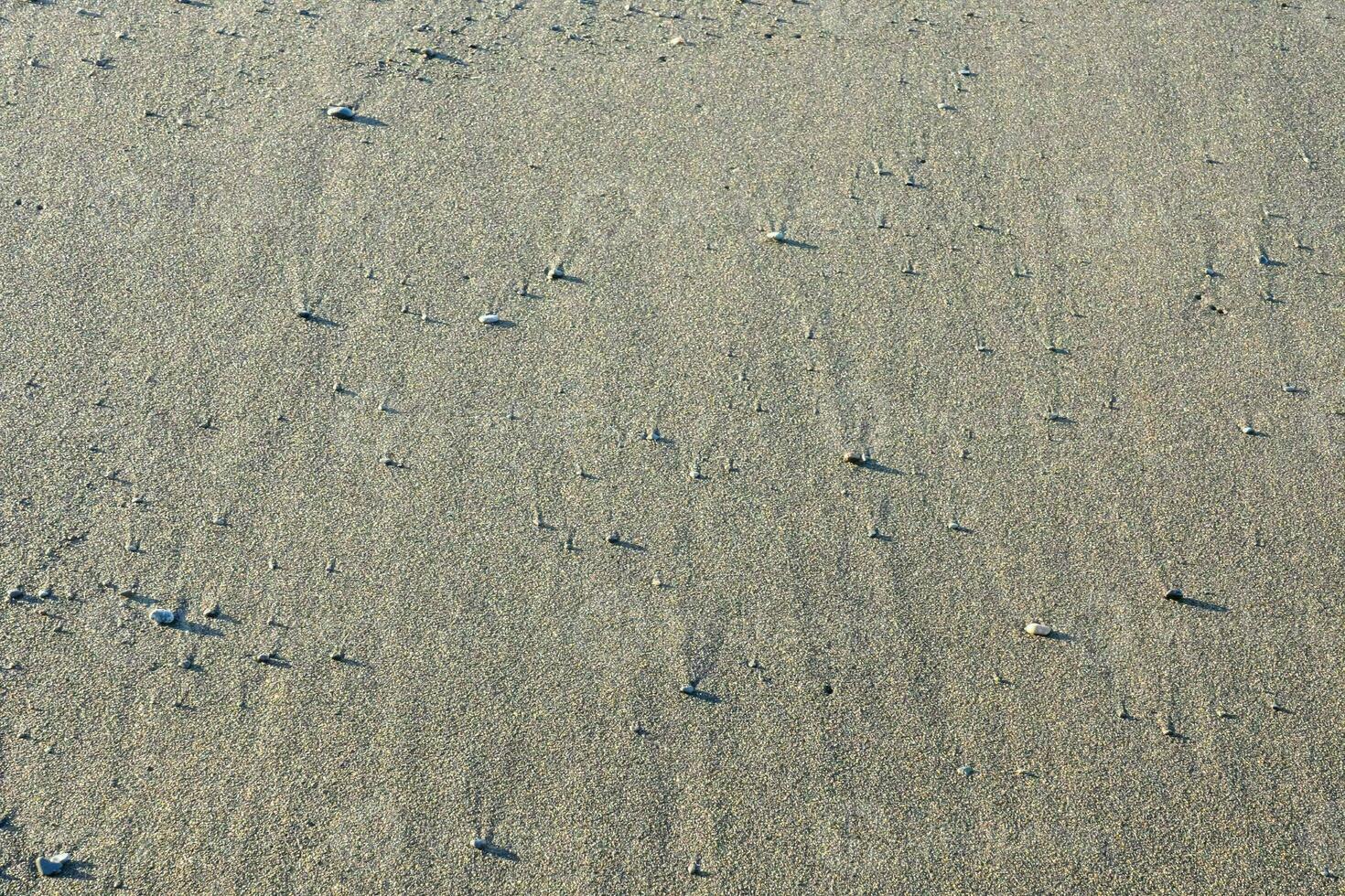 le sable dunes texture photo