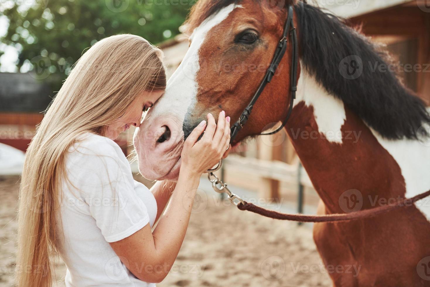 aime les animaux. femme heureuse avec son cheval sur le ranch pendant la journée photo
