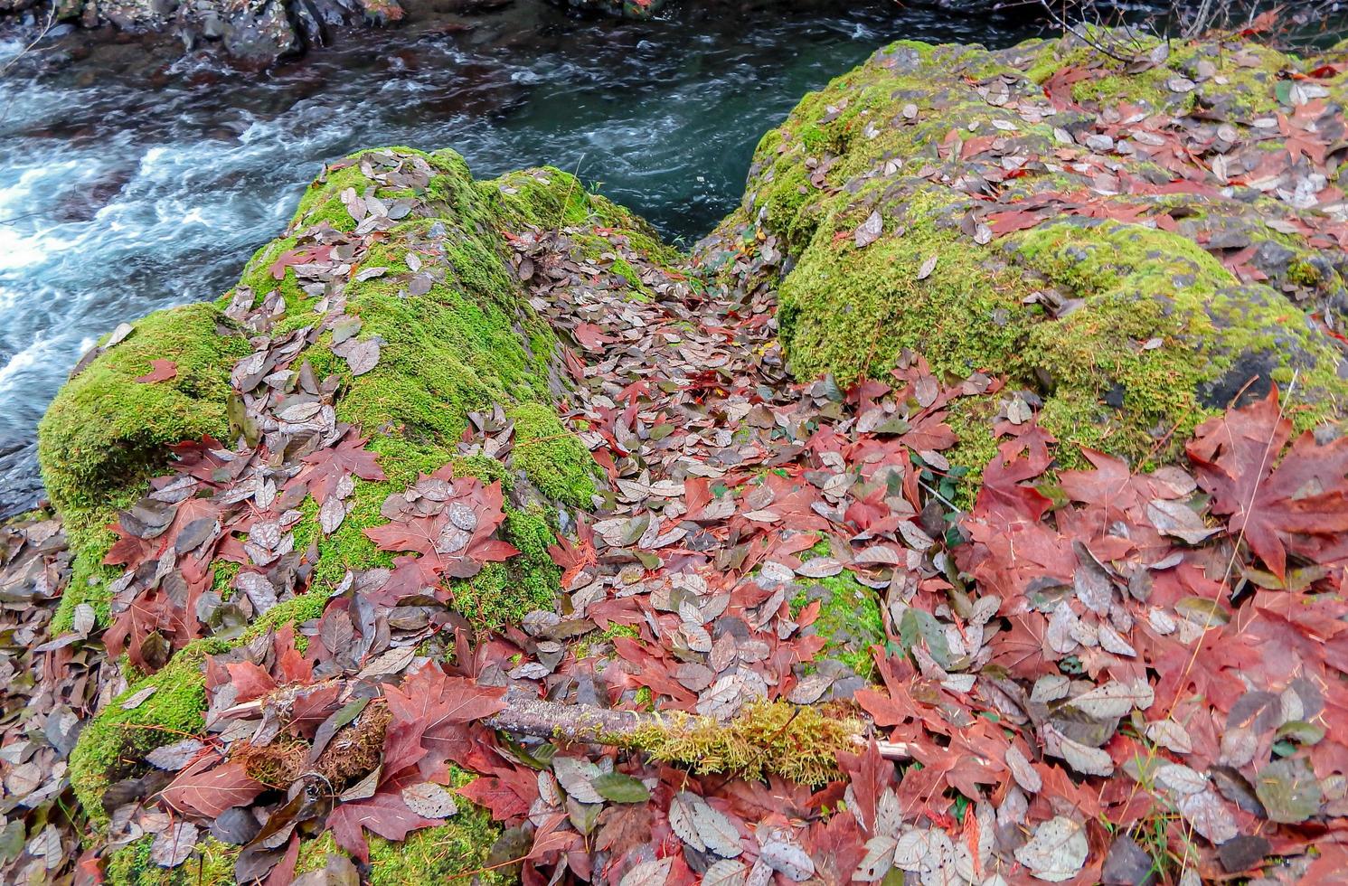 Riverside laisse une scène de novembre le long de la rivière Breitenbush près de Détroit ou photo