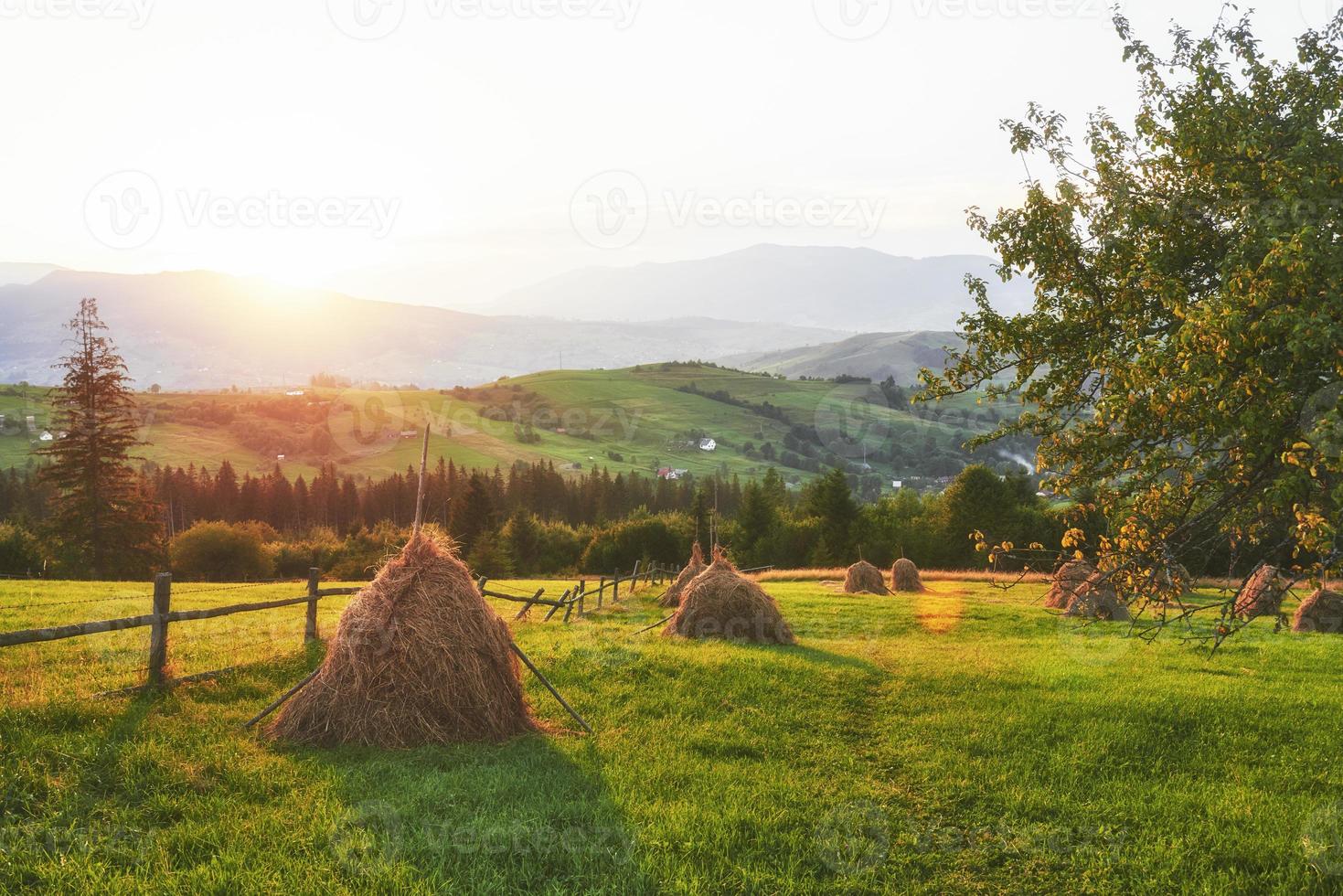 meule de foin au coucher du soleil. prairie, morceau de prairie, en particulier celui utilisé pour le foin. montagnes des carpates, ukraine photo