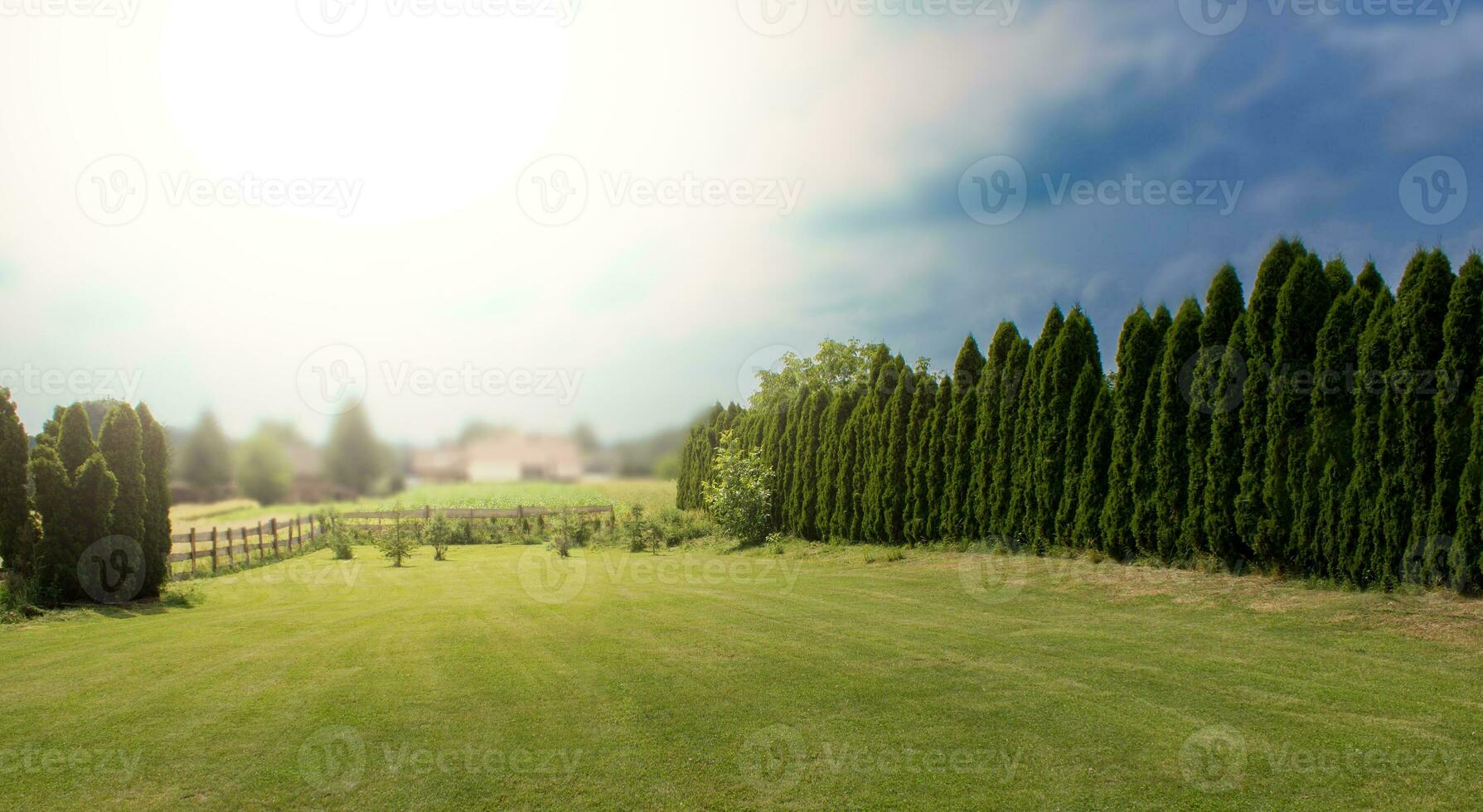 grand arrière-cour dans montagneux zone. magnifique paysage photo