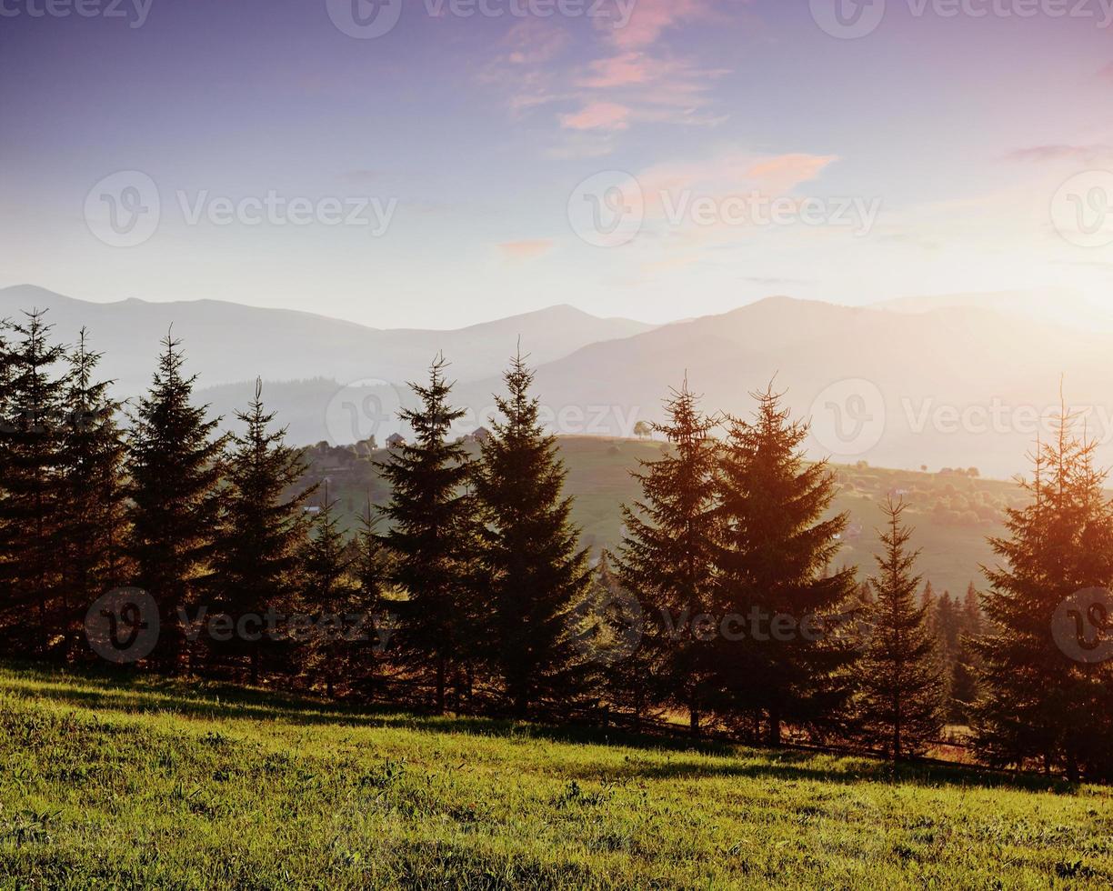 le paysage d'automne de montagne avec une forêt colorée. scène dramatique du matin. feuilles d'automne rouges et jaunes. Lieu lieu Carpates, ukraine, europe photo