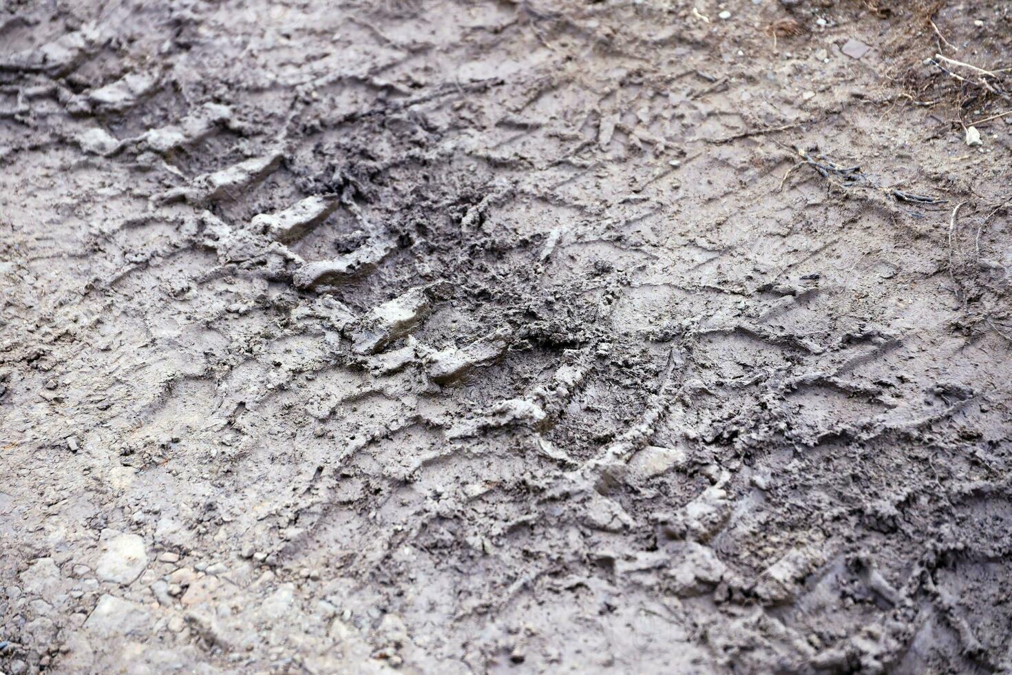 roue Piste sur boue. traces de une tracteur ou lourd hors route voiture sur marron boue dans humide Prairie photo