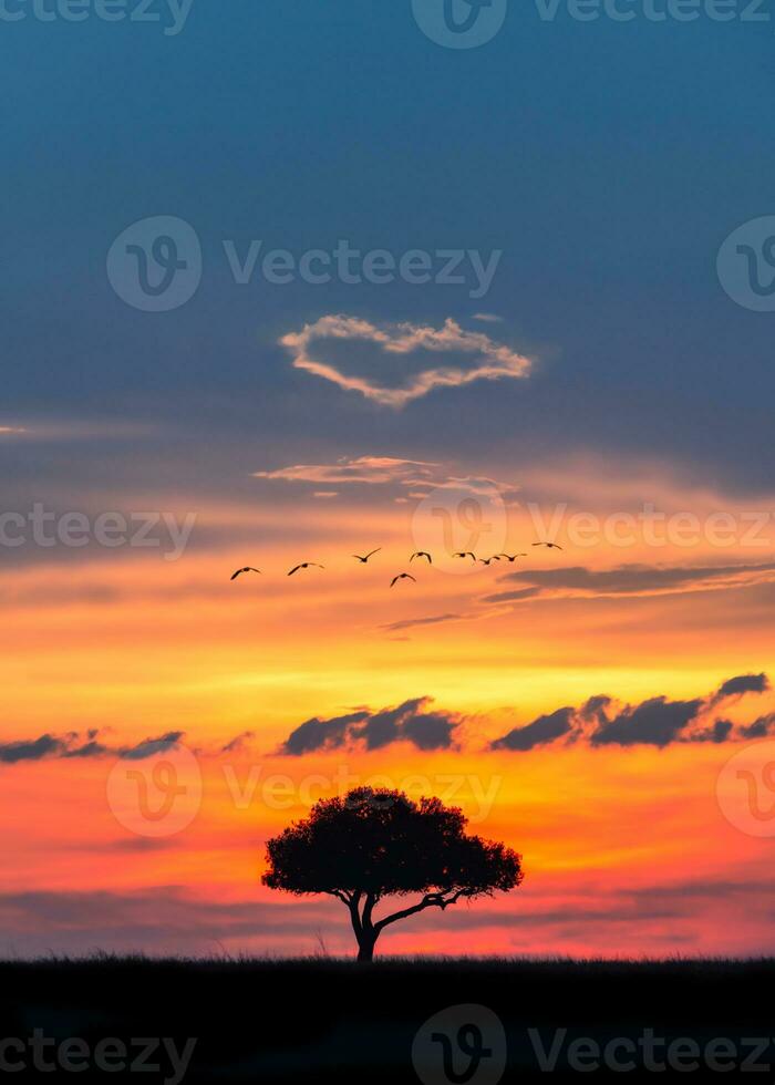 africain le coucher du soleil avec cœur dans des nuages photo