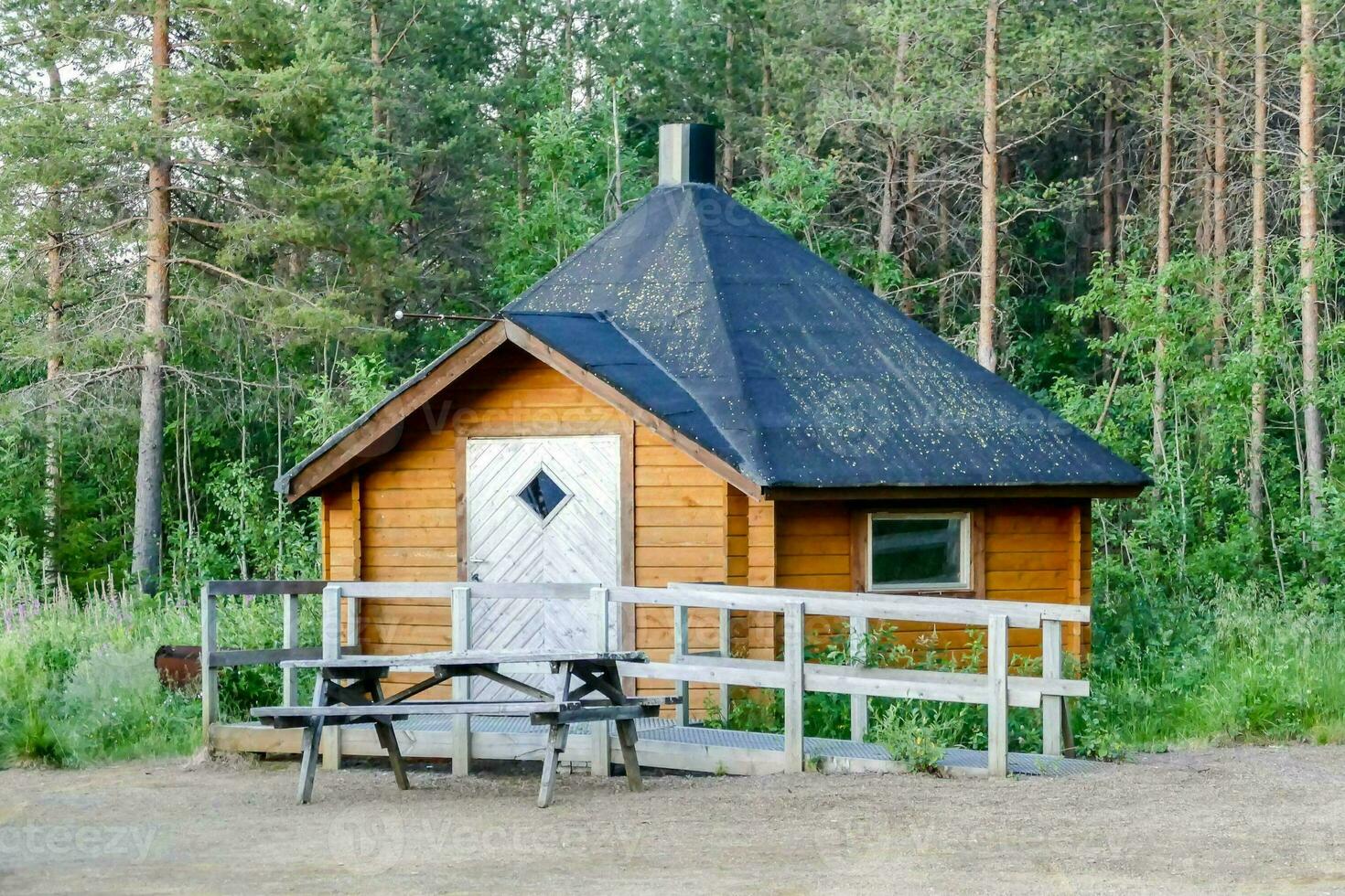une petit cabine avec une pique-nique table dans le milieu de le les bois photo
