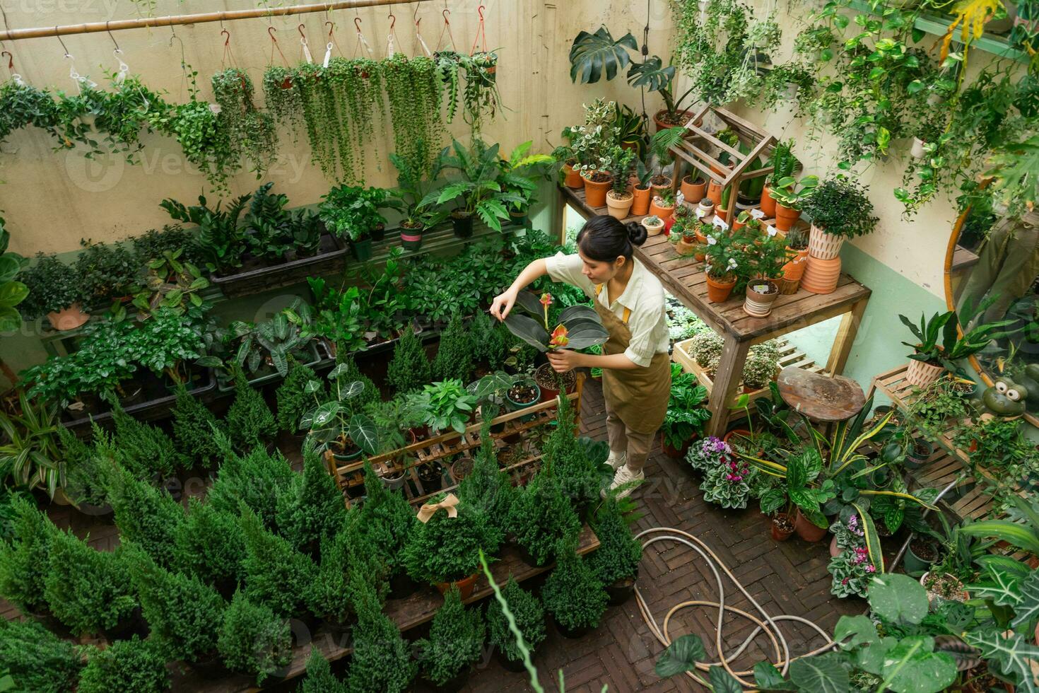 portrait de asiatique femme travail dans une plante magasin photo