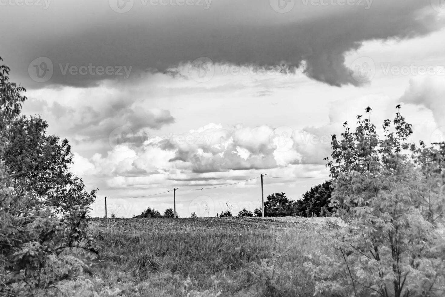 beau paysage d'horizon dans la prairie du village sur fond naturel de couleur photo