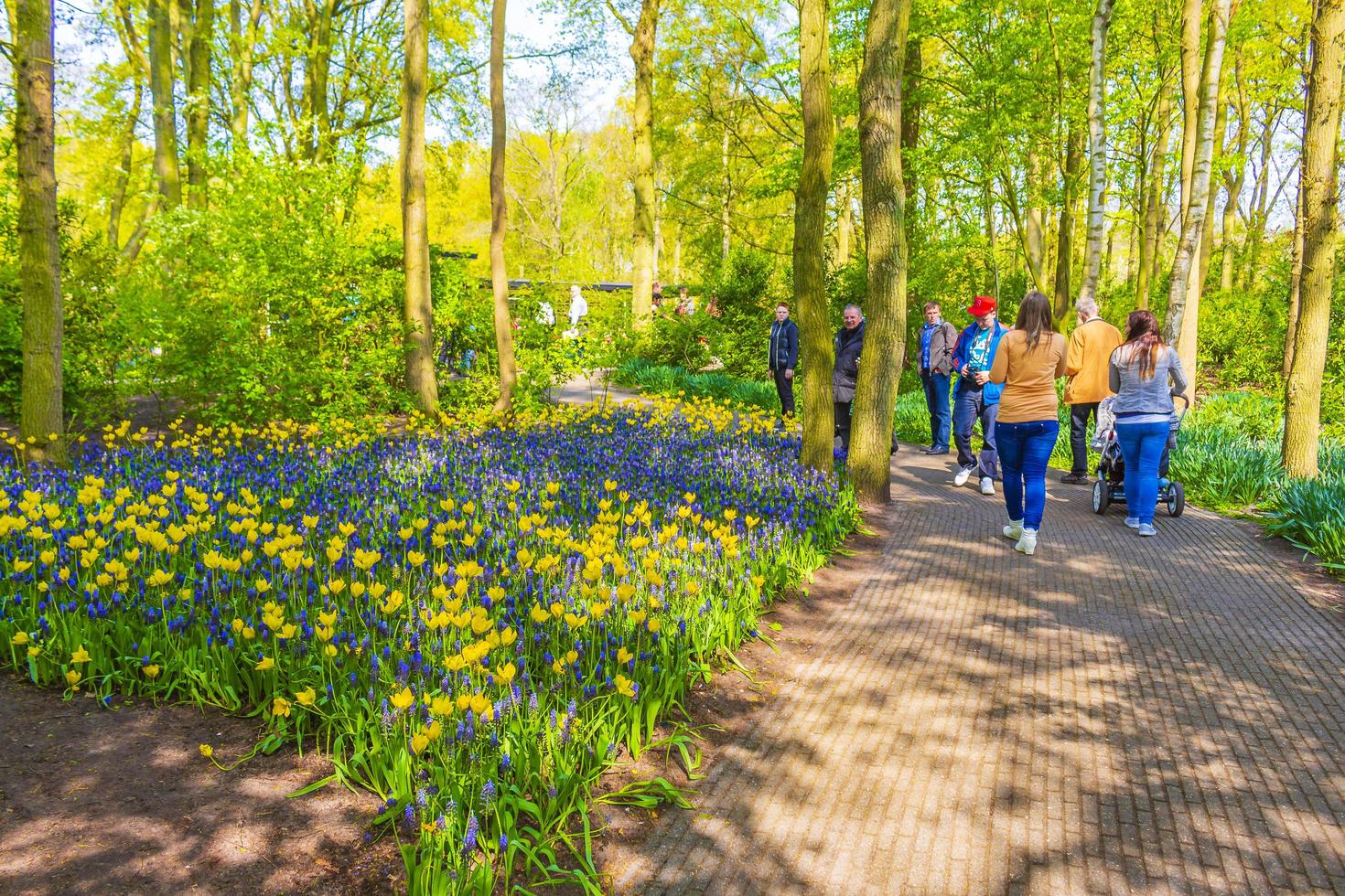 Lisse, Pays-Bas, 20 avril 2014 - personnes regardant des tulipes dans les jardins de Keukenhof photo