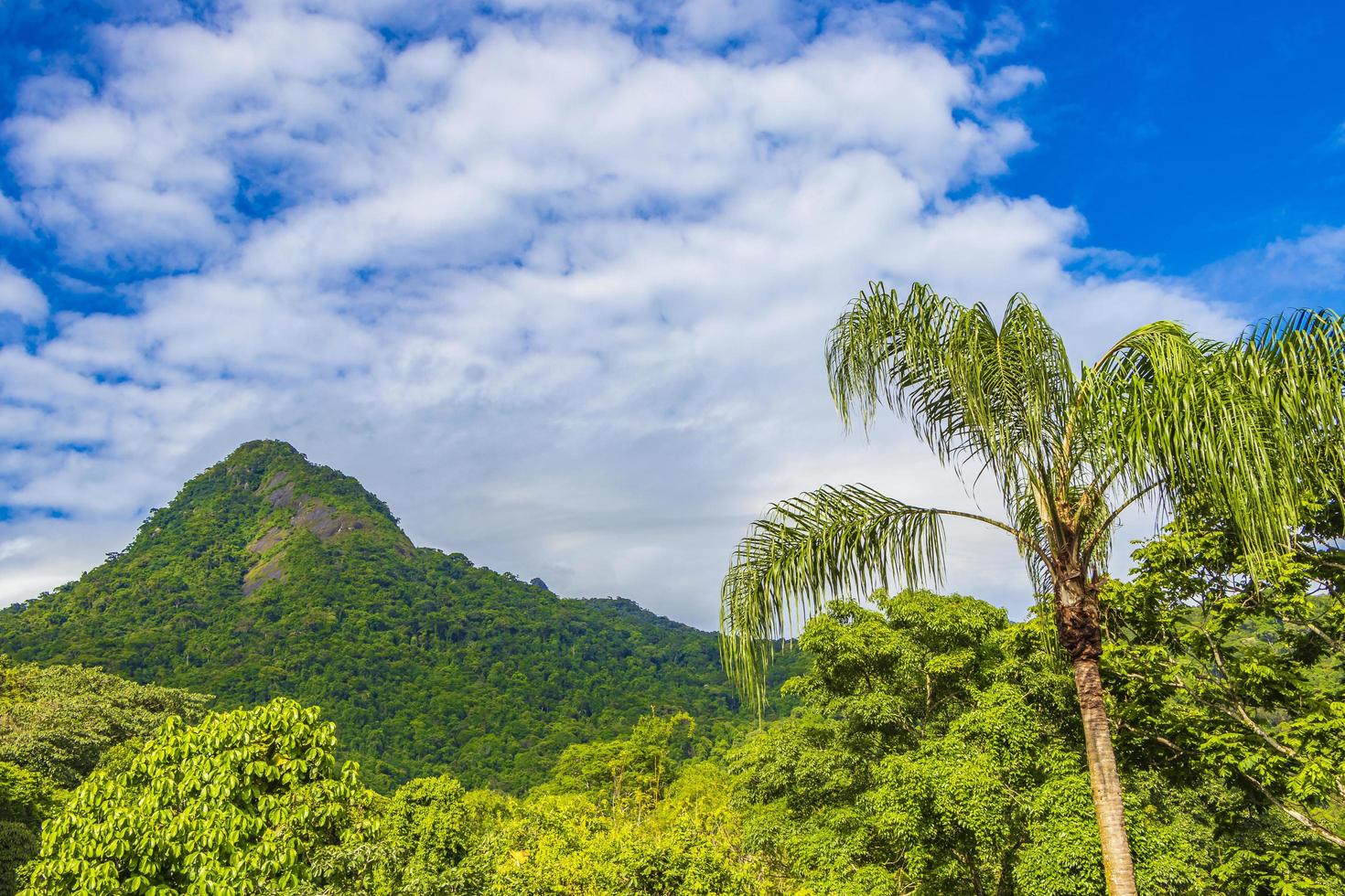 abraao montagne pico do papagaio avec nuages ilha grande brésil. photo