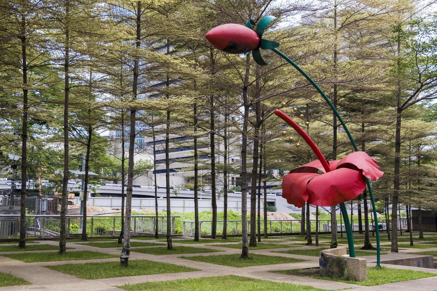 grande fleur rouge fleurit dans un parc kuala lumpur, malaisie. photo