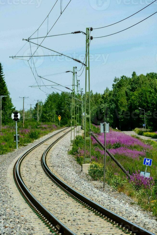 une train Piste avec violet fleurs et Puissance lignes photo