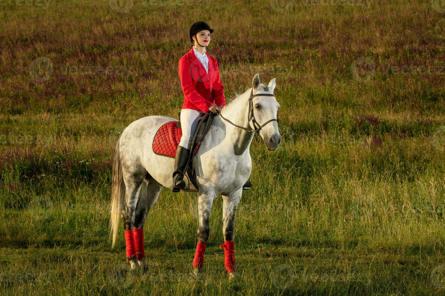 le cavalière sur une rouge cheval. cheval équitation. cheval courses. cavalier sur une cheval. photo