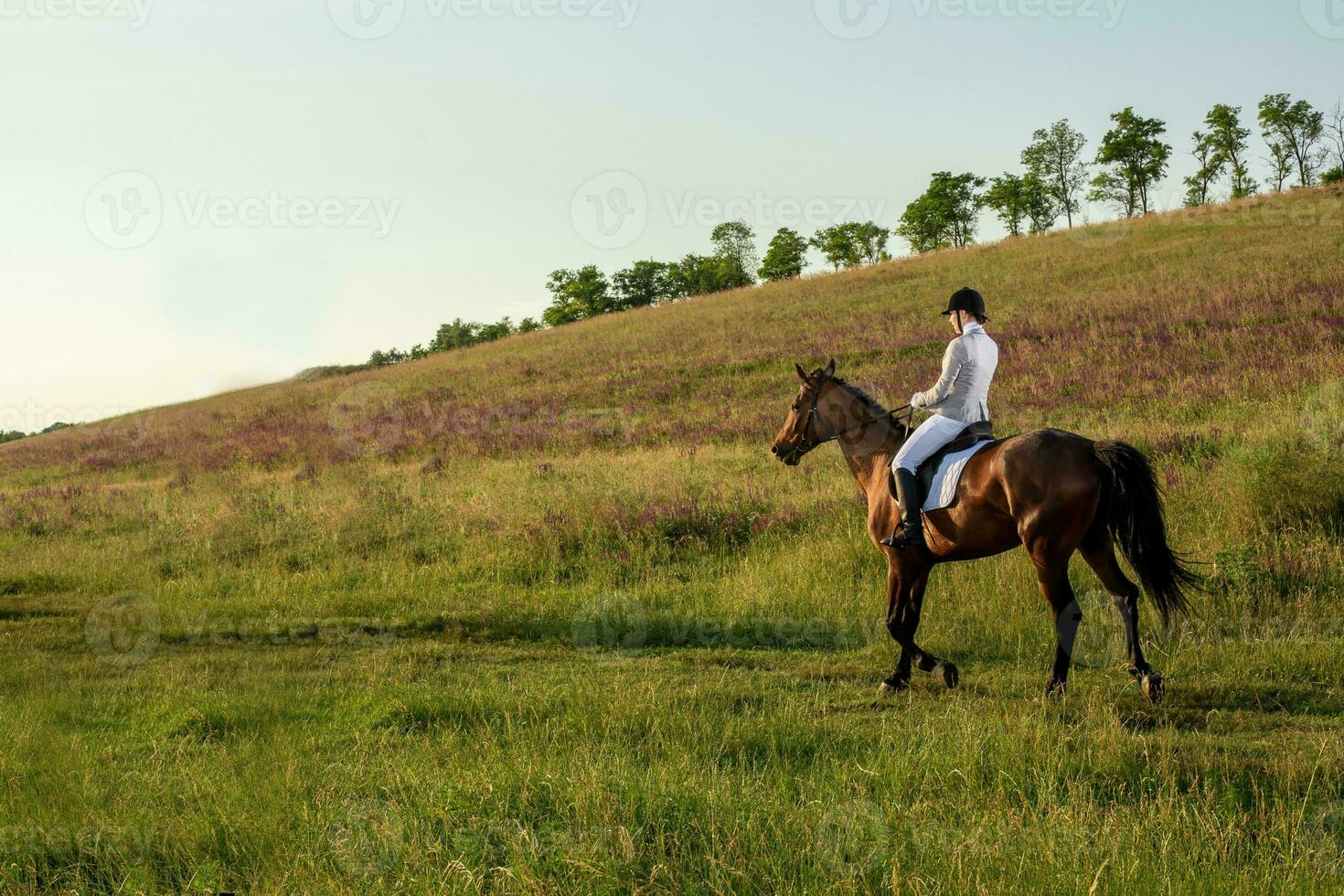 Jeune femme cavalier avec sa cheval dans soir le coucher du soleil lumière. Extérieur la photographie dans mode de vie ambiance photo