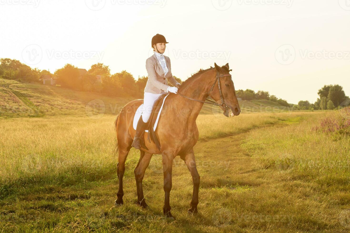 équestre sport. Jeune femme équitation cheval sur dressage Avancée test. Soleil éclater photo