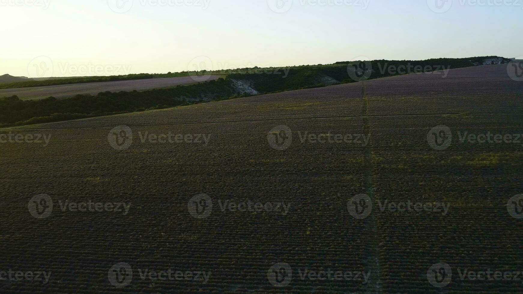 route fonctionnement par rural des champs à aube. tir. Haut vue de magnifique rural paysage de foncé ferme des champs à aube. Haut vue de terre en friche route fonctionnement par rural champ dans premier des rayons de Soleil photo