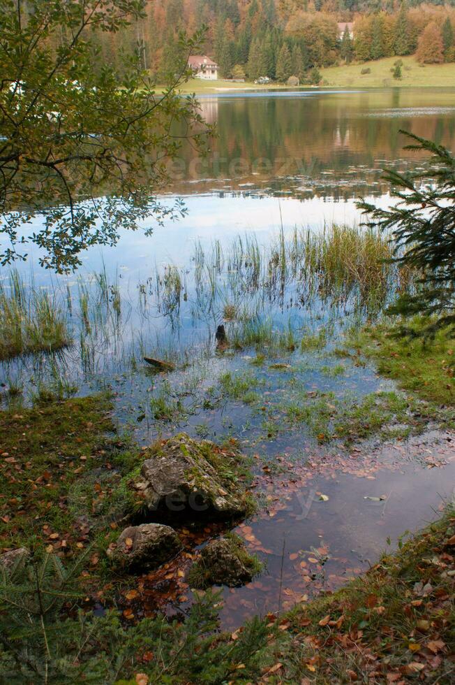 une étang avec l'eau photo