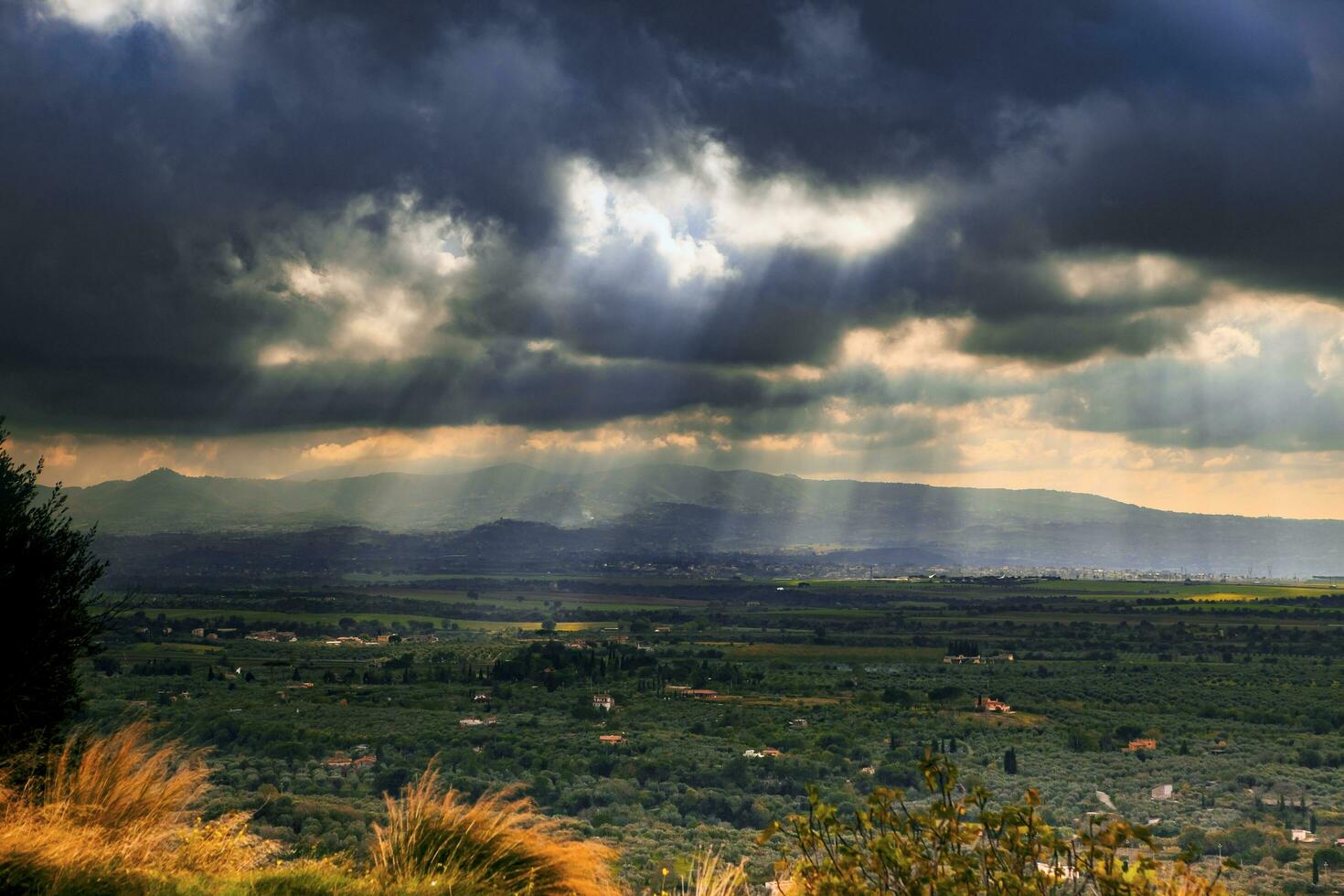 magnifique paysage de Tivoli agriculture plantation Sud Italie photo