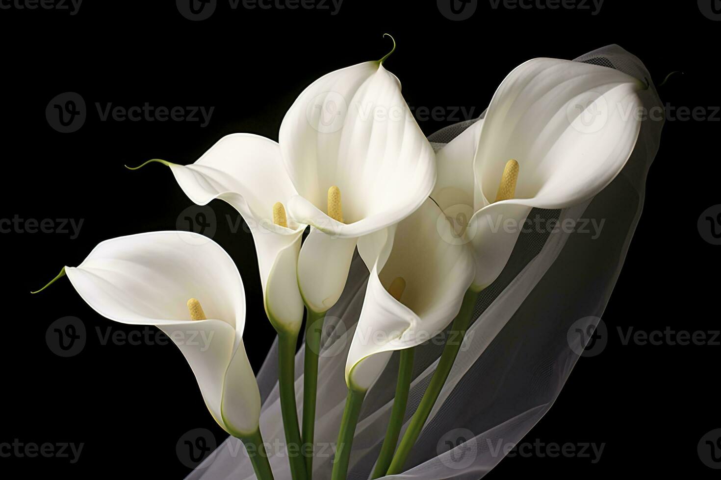 ai généré blanc mariage la nature lis beauté fleur plante fleur flore calla. ai généré photo