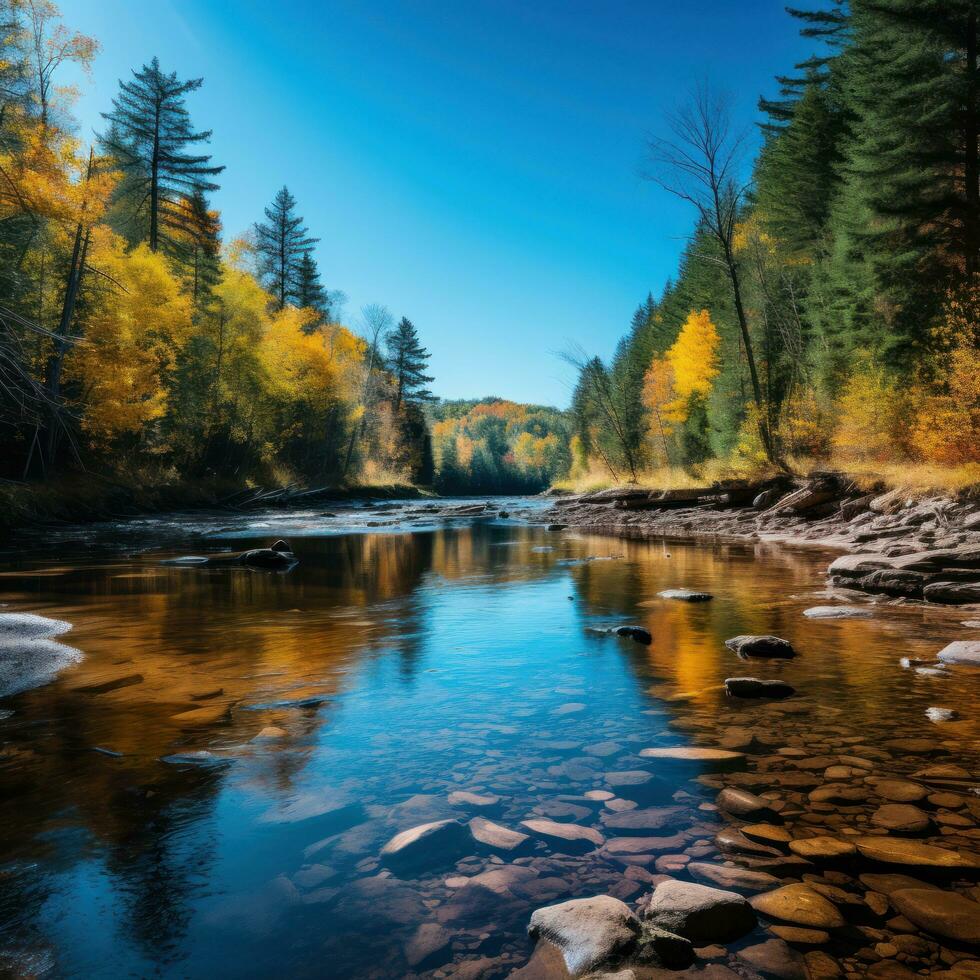 ai généré une calme rivière enroulement par une forêt avec vibrant tomber feuillage et une clair bleu ciel au dessus photo