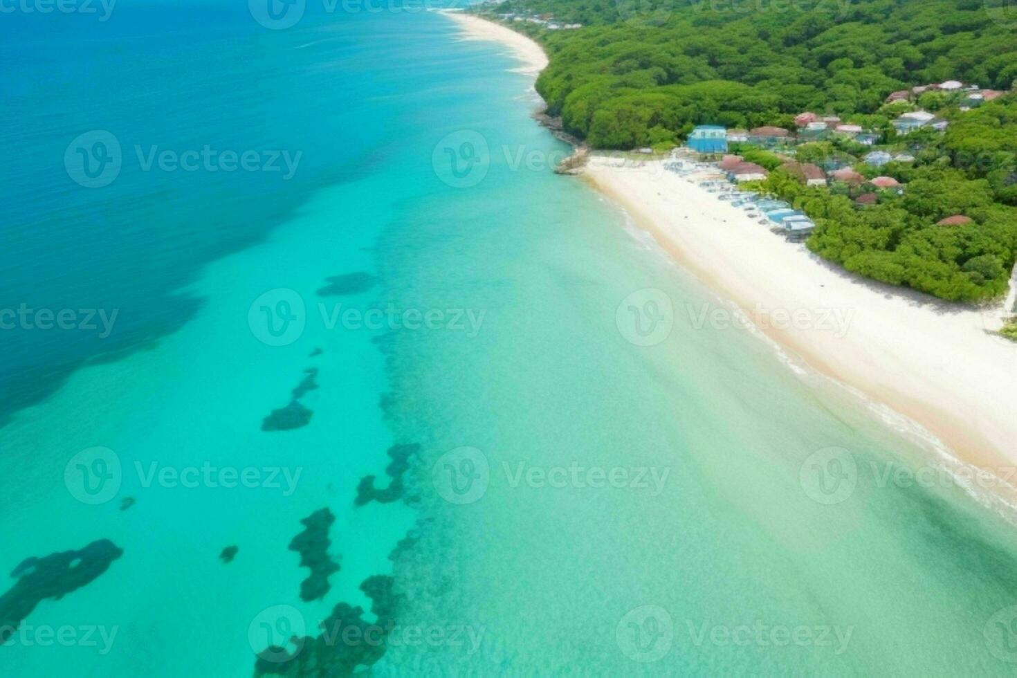 ai généré aérien vue de le tropical plage et océan. pro photo