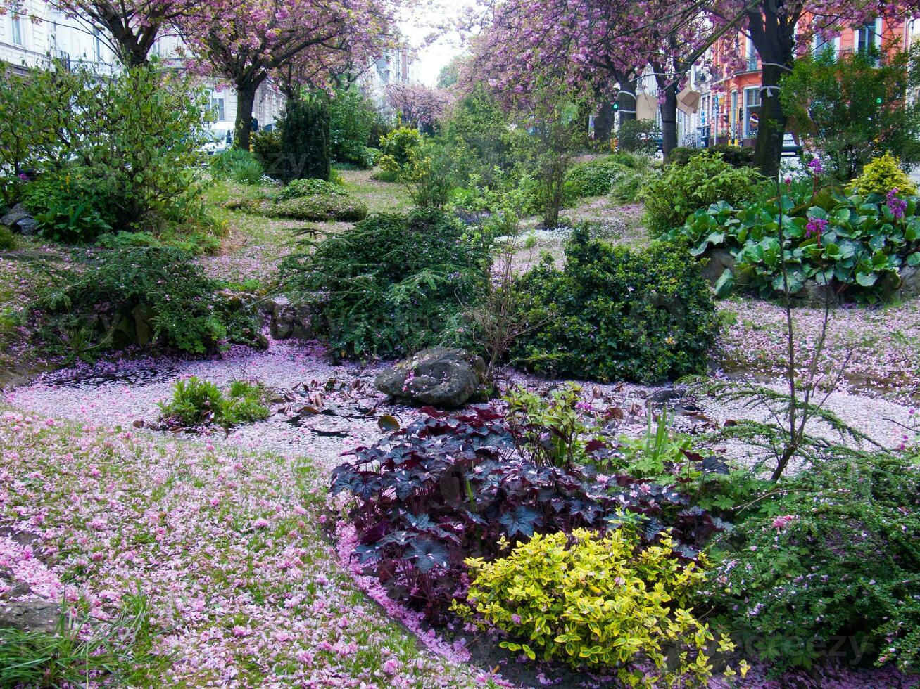 une jardin avec rose fleurs et des arbres dans le milieu de le ville photo