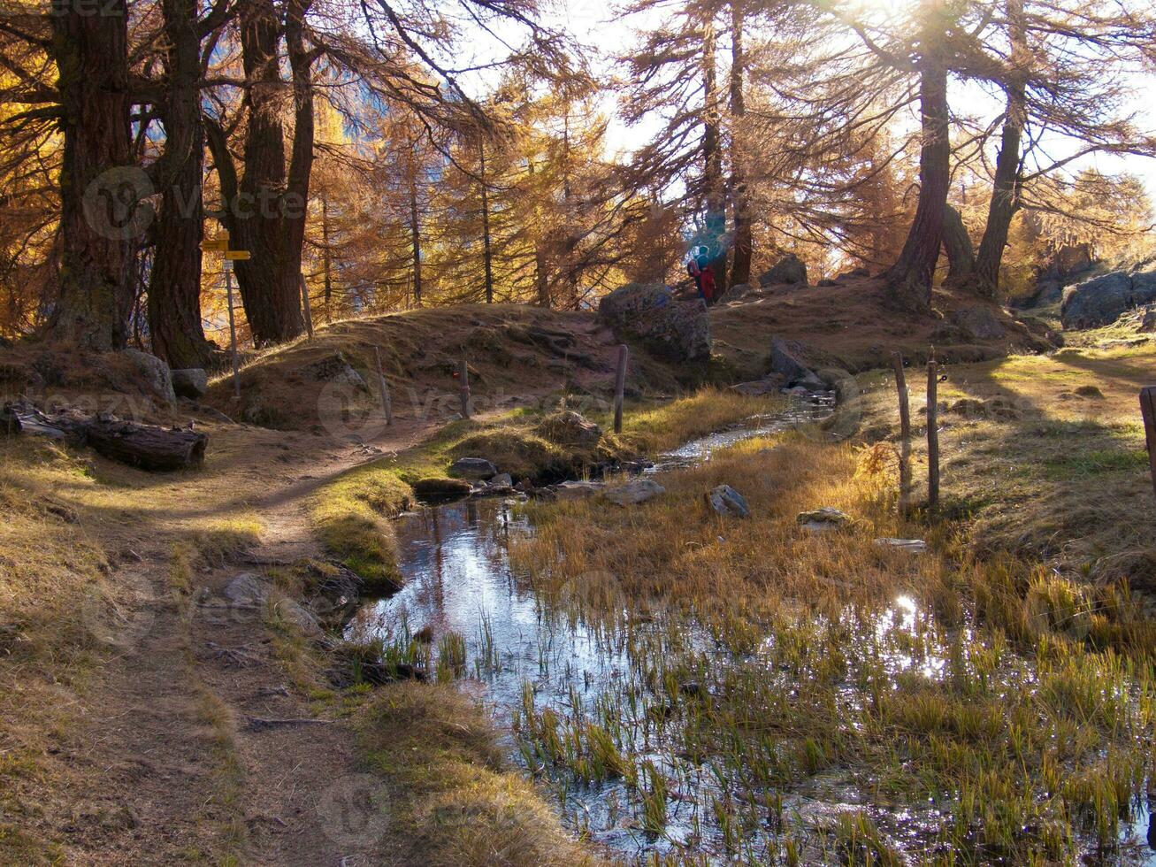 une saleté chemin photo